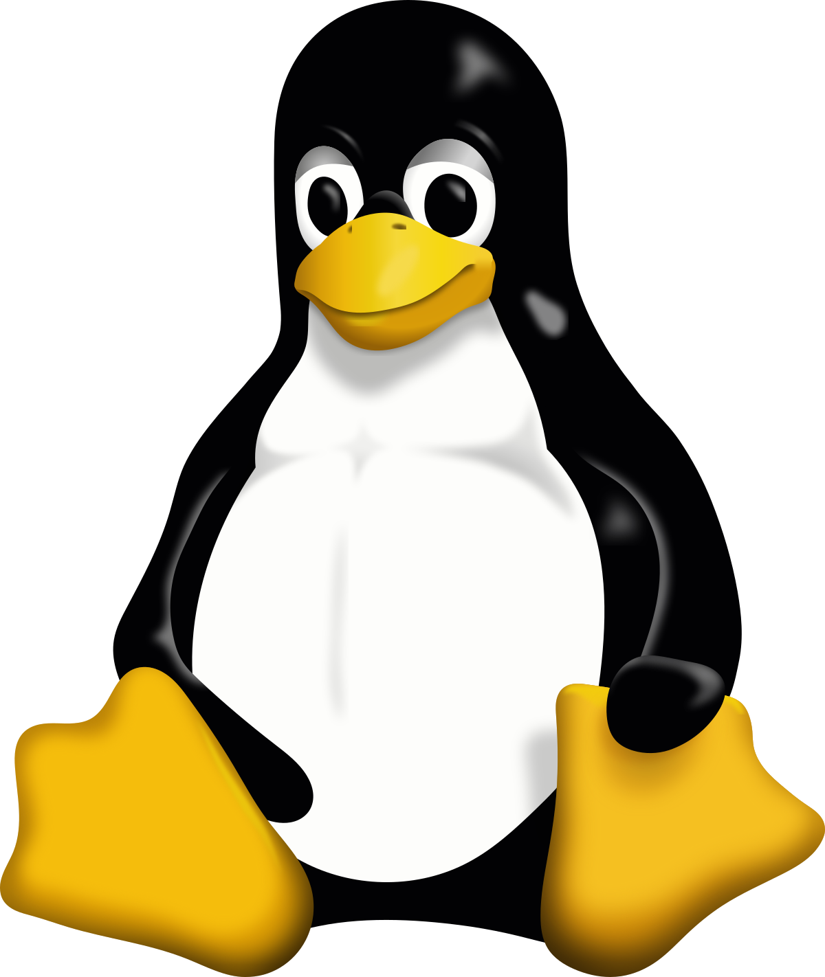 Embedded Linux Software Development